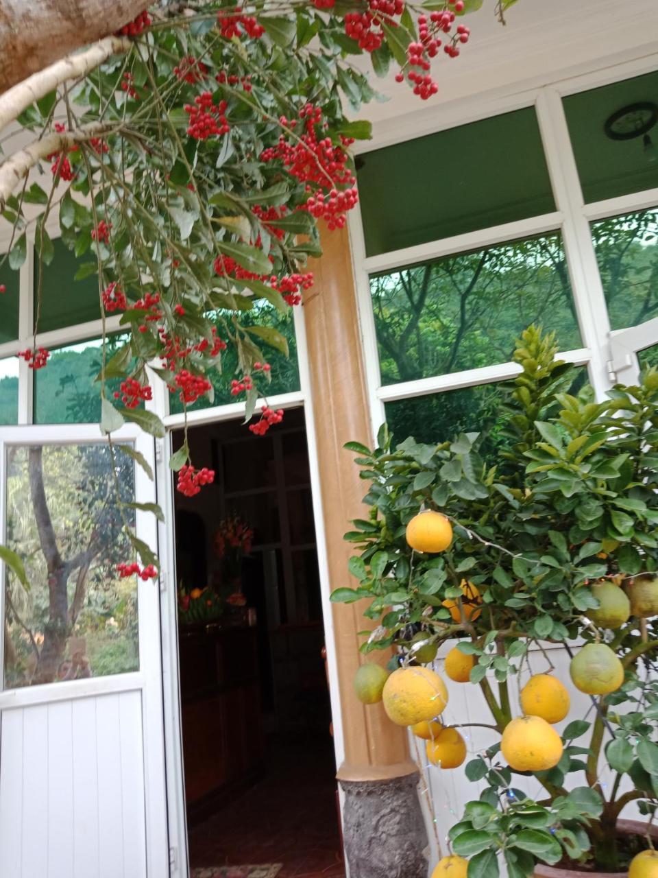 Cuc Phuong Hao Tham Homestay Hotel Nho Quan Εξωτερικό φωτογραφία